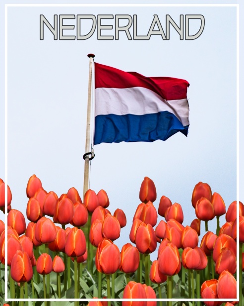 Eerlijk Regionaal Voedsel op Texel Duurzaamheid en Lokale Smaken 383236082