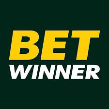 BetWinner Player Reviews Insights and Experiences