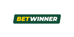 BetWinner Player Reviews Insights and Experiences