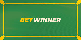 BetWinner Player Reviews Insights and Experiences