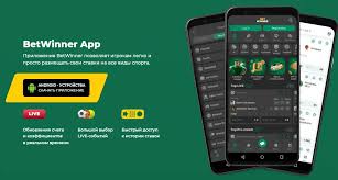 Experience the Thrill of BetWinner Aviator Game