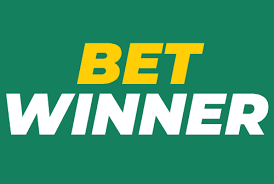 Explore BetWinner Your Ultimate Online Betting Platform