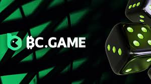 Explore the Thrills of Online Gaming at BC.Game India Official Website