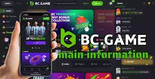 Exploring the BC.Game PH Platform A New Age of Online Gaming