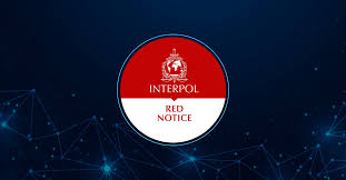 Understanding Interpol Legal Help A Guide to International Law Enforcement