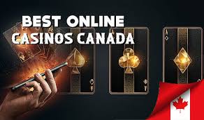 Discover the Best Real Money Online Casinos for Unmatched Gaming Experience