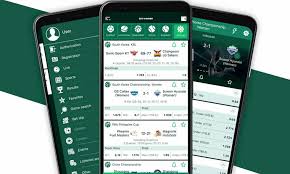 Exploring the BetWinner Platform Features, Benefits, and User Experience -815378355