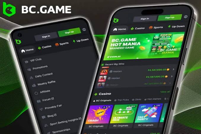 The Rise of BC.Game Crypto Casino A New Era in Online Gambling